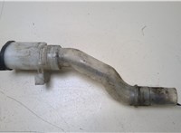  Горловина заливная бачка омывателя Lexus LS460 2006-2012 20403993 #1