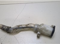  Горловина заливная бачка омывателя Lexus LS460 2006-2012 20403993 #2