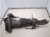 7L8413031H Амортизатор подвески Audi Q7 2005-2015 20404178 #7