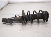  Амортизатор подвески Ford Focus 2 2008-2011 20405531 #1