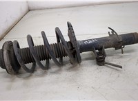  Амортизатор подвески Volkswagen Transporter 5 2003-2015 20405737 #1
