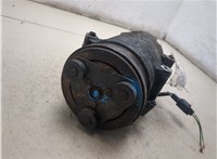  Компрессор кондиционера Ford Focus 2 2005-2008 20405909 #5