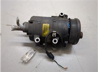  Компрессор кондиционера Ford Focus 2 2005-2008 20405909 #5