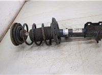  Амортизатор подвески Opel Vectra C 2002-2008 20405971 #1