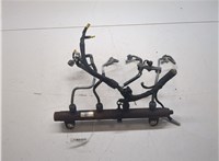  Рампа (рейка) топливная Land Rover Range Rover 3 (LM) 2002-2012 2529393 #3