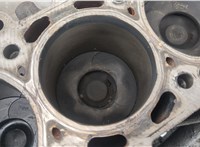 110005M300 Блок цилиндров (Шорт блок) Nissan Almera N16 2000-2006 20406303 #9