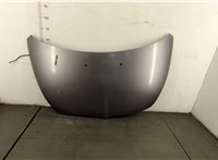  Капот Mitsubishi Grandis 20406761 #1