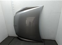  Капот Hyundai Equus 2013-2016 20406901 #1