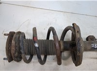  Амортизатор подвески Lexus RX 2003-2009 20406947 #2