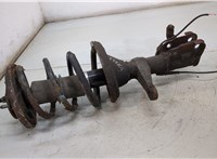  Амортизатор подвески Honda FRV 20407169 #1