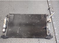  Радиатор кондиционера Peugeot 4007 20407409 #1