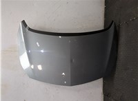 13270748, 13350059, 13312996, 13385745 Капот Opel Astra J 2010-2017 20407424 #12