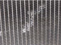 214601BY0A Радиатор охлаждения двигателя Infiniti FX 2008-2012 20407449 #6