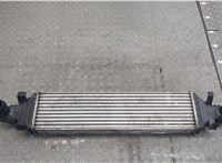  Радиатор интеркулера Mercedes E W212 2009-2016 20408133 #1