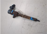  Форсунка топливная Fiat Doblo 2000-2015 20408400 #1