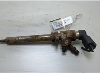 9657144580 Форсунка топливная Ford S-Max 2006-2010 20408695 #1
