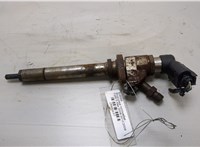 9657144580 Форсунка топливная Ford S-Max 2006-2010 20408697 #1