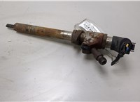 9657144580 Форсунка топливная Ford S-Max 2006-2010 20408699 #1