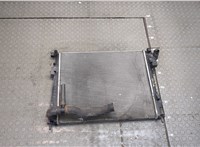  Радиатор охлаждения двигателя Renault Trafic 2001-2014 20408796 #1