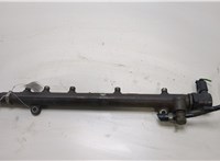  Рампа (рейка) топливная Mercedes Vito W639 2004-2013 20408933 #1