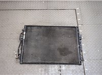  Радиатор кондиционера Mercedes S W221 2005-2013 20409022 #1