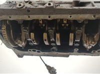  Блок цилиндров (Шорт блок) Audi TT (8N) 1998-2006 20409041 #10
