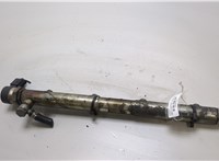  Рампа (рейка) топливная Mercedes Vito W639 2004-2013 20409145 #1