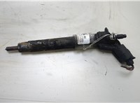 Форсунка топливная Mercedes Vito W639 2004-2013 20409149 #1