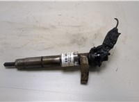  Форсунка топливная Mercedes Vito W639 2004-2013 20409151 #1