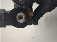 a6460701487 Форсунка топливная Mercedes Vito W639 2003-2014 20409152 #9