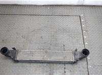  Радиатор интеркулера Mercedes CLS C219 2004-2010 20409219 #1