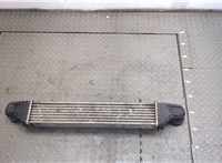  Радиатор интеркулера Mercedes CLS C219 2004-2010 20409219 #3
