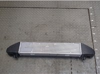  Радиатор интеркулера Mercedes C W204 2007-2013 20409236 #4