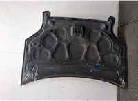 1346687 Капот Ford Fusion 2002-2012 20409535 #9