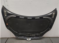  Капот Skoda Roomster 2006-2015 20409670 #9