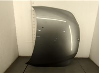 Капот BMW 5 E60 2003-2010 20409843 #1