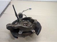  Ступица (кулак, цапфа) Nissan Murano 2008-2015 20410328 #1