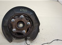  Ступица (кулак, цапфа) Nissan Murano 2008-2015 20410328 #5