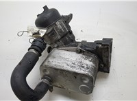  Корпус топливного фильтра BMW X5 E53 2000-2006 20410434 #1