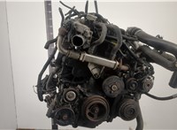  Двигатель (ДВС) Nissan Pathfinder 2004-2014 20410577 #1