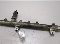  Рампа (рейка) топливная Renault Scenic RX4 20410647 #1