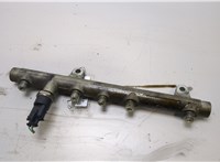  Рампа (рейка) топливная Renault Scenic RX4 20410647 #3