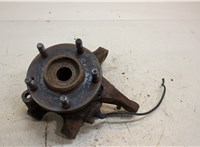 Ступица (кулак, цапфа) Hyundai Tucson 1 2004-2009 20411092 #1