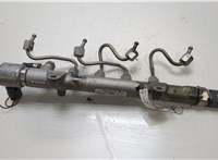 A6510700495 Рампа (рейка) топливная Mercedes E W212 2009-2016 20411370 #1