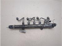 A6510700495 Рампа (рейка) топливная Mercedes E W212 2009-2016 20411370 #4