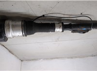 A2213205513, A2213205613 Амортизатор подвески Mercedes S W221 2005-2013 20411690 #4