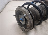 31316786531 Амортизатор подвески BMW 7 E65 2001-2008 20411834 #8