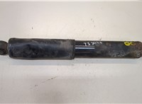  Амортизатор подвески Chevrolet Captiva 2006-2011 20411885 #1