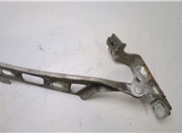 1160500, 13224577 Петля капота Opel Zafira B 2005-2012 20412088 #1