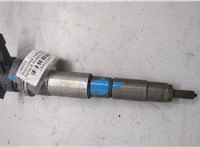 0445115007 Форсунка топливная Renault Koleos 2008-2016 20412162 #2